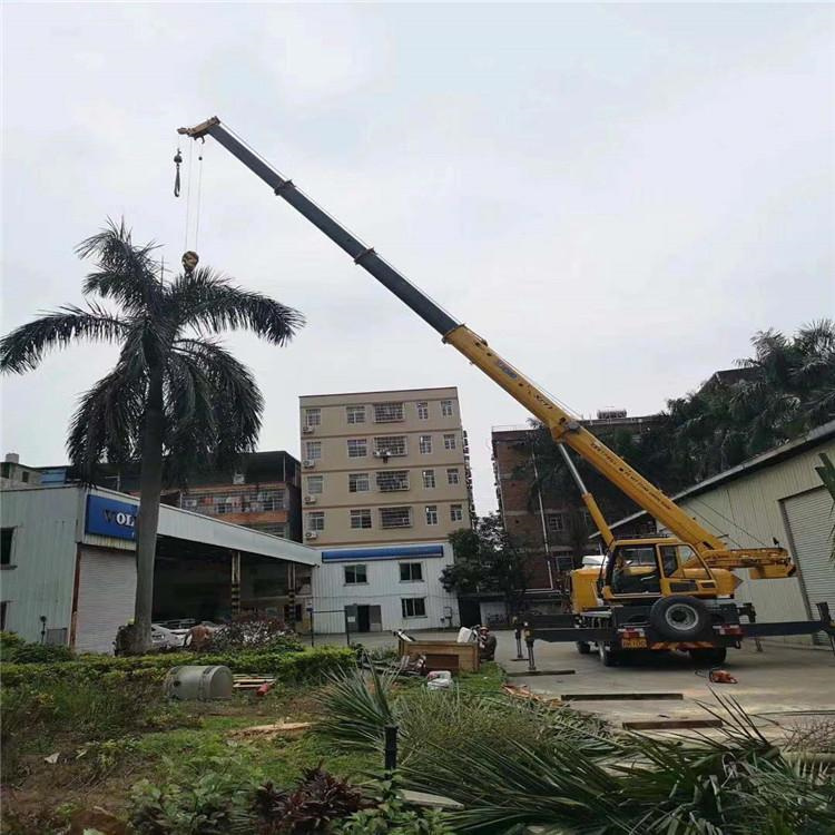 丹寨汽车吊出租多少钱？全面解析与市场行情